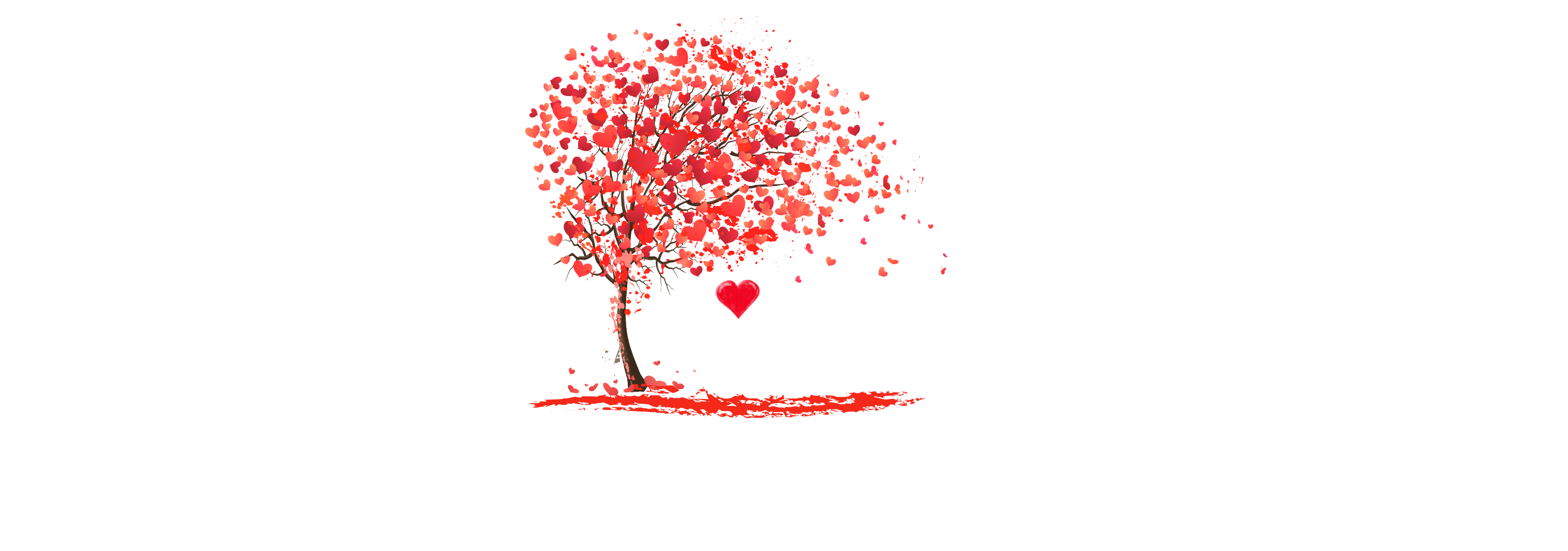 Love is Patient T-shirt